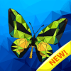 Buttrfly clrg bk  Bugs ly art clr破解版下载