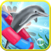 Dolphin Aquarium: Fun Sports 3D Challenge玩不了怎么办