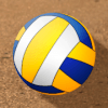 Bac Vllyball Gam  3D Vllyball Turamt安卓手机版下载