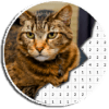 Cat Photography Coloring Book  Color By Number如何升级版本