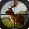 Wild Deer Hunter  deer shooting games破解版下载