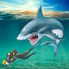 HUNGRY SHARK SIMULATOR ATTACK怎么安装