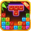 Cady Fll Bst Blck Puzzl终极版下载