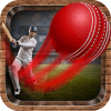 Onegame Cricket 2019官方下载