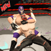 Super Wrestling Battle The Fighting mania怎么安装