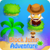 Block Jump Adventure无法打开
