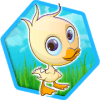 Baby Farm Puzzles puzzles for kids占内存小吗