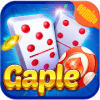 Gaple Pro  Master Domino Offline玩不了怎么办