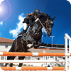Real Horse Run