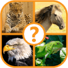 Animal Trivia Quiz  Guess the Animal Game手机版下载