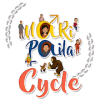 Nari Paila  Cycle玩不了怎么办