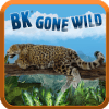 BK® Gone Wild玩不了怎么办