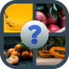 Fruits Name Vocabularyiphone版下载