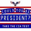 Could YOU Be President占内存小吗