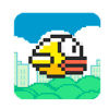 Clumsy Bird Touch Fly Bird