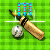 Cricket Game Full Toss