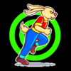 Run Rabbit Race 3D