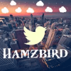 Hamzbrd版本更新