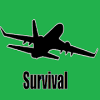 Plane Survival