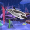 Fish Abyss - Build an Idle Ocean Aquarium官方中文版