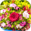 Wonderful Flowers Puzzle中文版下载