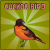 Rescue The Cuckoo Bird无法安装怎么办