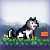 Super Husky Adventure Platform Game