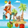 Crash Island Adventure Bandicoot无法打开