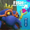 Guide for Feed and Grow Fish Update玩不了怎么办