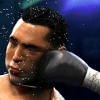 Real Punch Boxing Game 2019  Fighting Star 3D官方下载