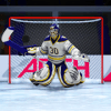 Ice Hockey penalty shot最新版下载