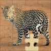 Wild Animals Jigsaw Puzzles **绿色版下载