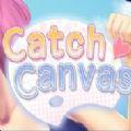 Catch Canvas如何升级版本