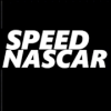 Speed Nascar安卓版下载