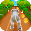 Pet Run - Puppy Dog Game