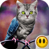 Simulator Morph Animal版本更新