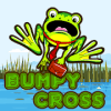 Bumpy Cross