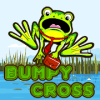 Bumpy Cross手机版下载