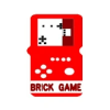 Geo brick game