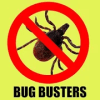 Bug Busters电脑版安装使用教程