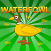 Waterfowl Rescue费流量吗