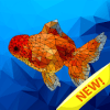 Fish coloring  Sea creatures poly art color