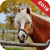 Real Horse Run Simulator