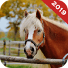 Real Horse Run Simulator职业介绍