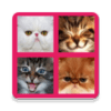 2048 Cute Cats