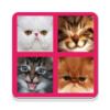 2048 Cute Cats怎么下载到电脑