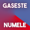 Gaseste Numele Vloggerului官方版免费下载