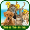 Animal Guessing Puzzle