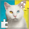 Cats Jigsaw Puzzles Game