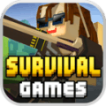 Survival Hunger Games占内存小吗